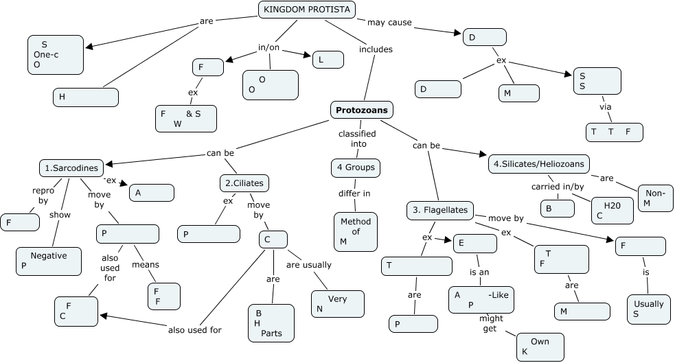 Kingdom Protista Concept Map Table Rock Lake Map
